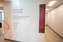 Vision-Wall